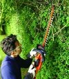 Кусторез аккумуляторный Black+Decker (GTC36552PC) - 3