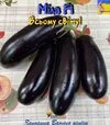 Семена баклажана Мила F1, п.е. 1 тыс семян (Spark Seeds) - 1