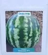 Насіння кавуна Авалон F1, п.о. 1000 насінин (Innova Seeds) - 7