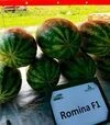 Семена арбуза Ромина F1, п.е. 1000 семян (Cora Seeds) - 3