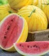 Семена арбуза Ред ин Голд F1, п.е. 500 семян (Asia Seed) - 1