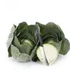 Насіння білоголової капусти Лонгма F1, п.о. 2500 насінин (Rijk Zwaan) - 3
