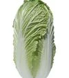 Семена пекинской капусты Генки F1, п.е. 1 тыс. семян (Sakata) - 5