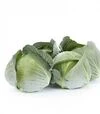 Насіння білоголової капусти Дульсіма F1, п.о. 1 тис. насінин (Rijk Zwaan) - 2
