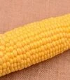 Семена кукурузы Айова F1, п.е. 20 тыс семян (МНАГОР) - 1