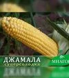 Семена кукурузы Джамала F1, п.е. 1 тыс. семян (МНОГОР) - 3