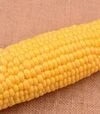 Семена кукурузы Айова F1, п.е. 1 тыс. семян (МНОГОР) - 1