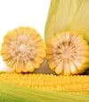 Семена кукурузы Айова F1, п.е. 1 тыс. семян (МНОГОР) - 4