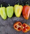 Насіння перцю Венера F1, 5 г (Solare Sementi) - 2
