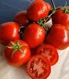 Семена томата Джессика F1, п.е. 1 тыс. семян (Sakata) - 2