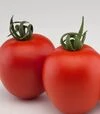 Семена томата Бильбао F1, п.е. 1 тыс. семян (Clause) - 1