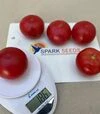 Насіння томату Фаєр F1, п.о. 250 насінин (Spark Seeds) - 4