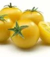 Насіння томату Стар Голд F1, п.о. 50 насінин (Esasem) - 3