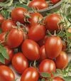 Семена томата Блумко F1, п.е. 500 семян (Semo) - 1