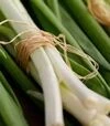 Семена лука порей Герда, 50 г (Semo) - 4