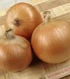 Насіння ріпчастої цибулі Болеро F1, п.о. 250 тис. насінин (Moravoseed) - 1