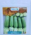 Семена кабачка Рэнди F1 (INX 5286), п.е. 500 семян (Innova Seeds) - 8