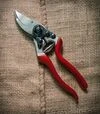 Секатор FELCO 8 &Oslash;25 мм, 210 мм + фирменная шапка - 3