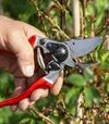 Секатор FELCO 8 &Oslash;25 мм, 210 мм + фирменная шапка - 4