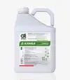 Гербіцид Д-Камба, 10 л (Green Express) - 2