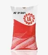 Кукуруза ЛГ31261, п.е. 50 тыс. семян (LG) - 2