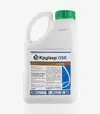 Протруйник Круїзер Osr 322, 5 л (Syngenta) - 2