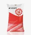Кукуруза ЛГ31377, п.е. 50 тыс. семян (LG) - 1