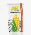 Кукурудза Дніпровський 181 СВ, п.о. 80 тис. насінин (Степова) - 2