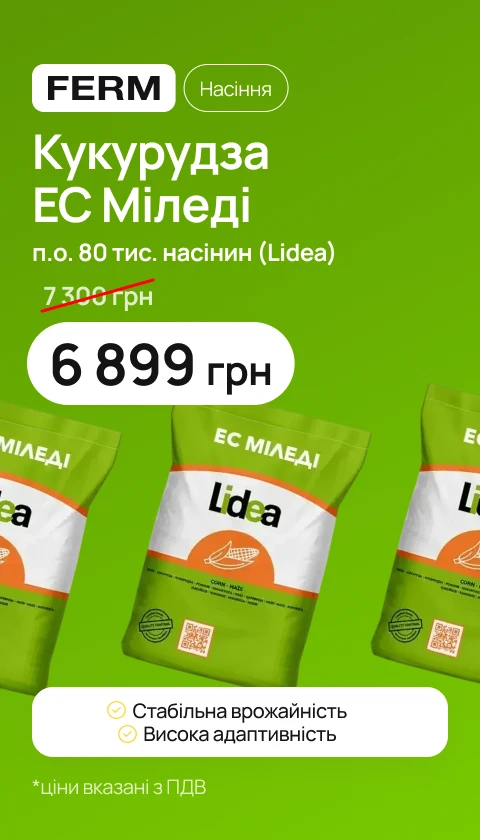 Кукурудза Ес Міледі