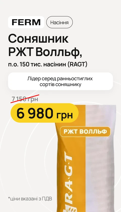 Соняшник РЖТ Волльф