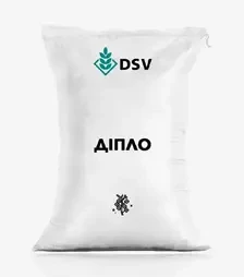 Ріпак озимий Діпло, п.о. 1 500 тис. насінин (DSV)