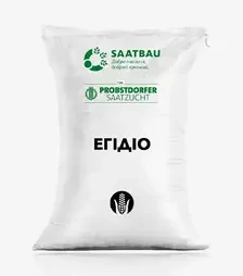 Кукурудза Егідіо, п.о. 80 тис. насінин (Saatbau)