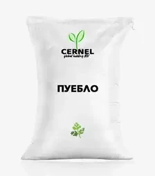 Коріандр Pueblo (Пуебло), т (Cernel Global Holding NV)