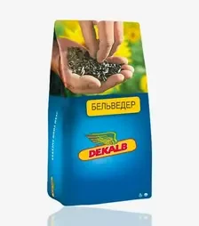 Соняшник Бельведер, п.о. 150 тис. насінин (Dekalb)