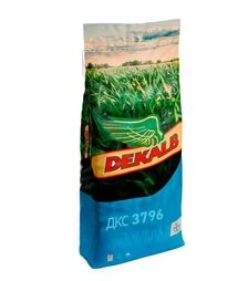 Кукурудза ДКС 3796, п.о. 80 тис. насінин (Dekalb)