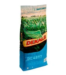 Кукурудза ДКС 4897, п.о. 80 тис. насінин (Dekalb)