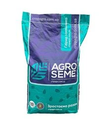 Соняшник НС Х 8063 (AGRO SEME)
