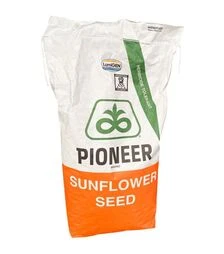 Соняшник P64LP130, п.о. 150 тис. насінин (Pioneer)