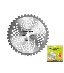 Диск для триммера MASTERTOOL GARDEN 255х25,4,40Т с победитовой напайкой (19-2000)