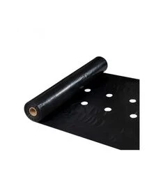 Пленка перфорированная Agros 40 мкм, 1,2x1000 м (180264)