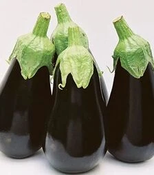 Насіння баклажану Блек Перл F1, п.о. 250 насінин (Vitalis)