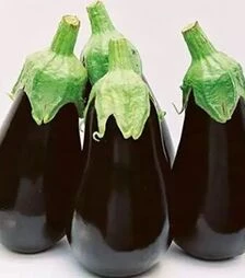 Насіння баклажану Блек Перл F1, п.о. 500 насінин (Enza Zaden)