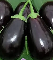 Семена баклажана Визир F1, п.е. 500 семян (Yuksel Tohum)