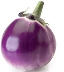 Насіння баклажану Сабелле F1, п.о. 100 насінин (Rijk Zwaan)