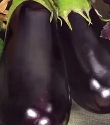 Семена баклажана Наско №2011 F1, п.е. 10 тыс семян (Nasko)