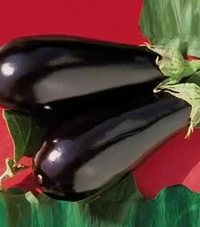 Насіння баклажану Епік F1, п.о. 1 тис. насінин (Seminis)