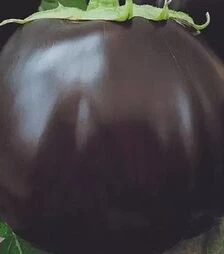 Семена баклажана Лаура, 50 г (Moravoseed)