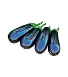 Семена баклажана Бриджит F1, п.о. 100 семян (Rijk Zwaan)