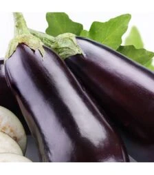 Семена баклажана Брат F1, п.о. 500 семян (Yuksel)