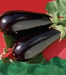 Семена баклажана Эпик F1, п.о. 100 семян (Seminis)